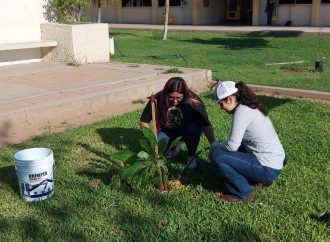 Siembra Itson 650 árboles en campaña de reforestación por aniversario