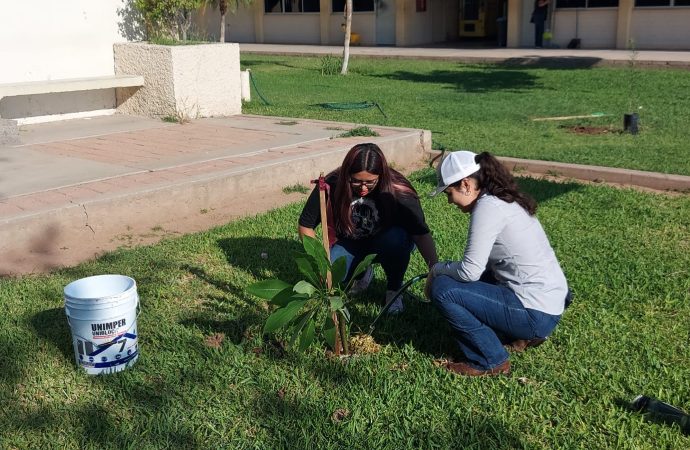 Siembra Itson 650 árboles en campaña de reforestación por aniversario