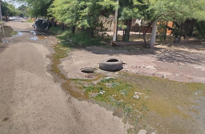 Trabaja Oomapasc en solución a falta de tapaderas de alcantarillas