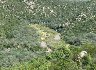 Almacenamiento de presas en Sonora aumenta 10% en dos meses por lluvias de verano