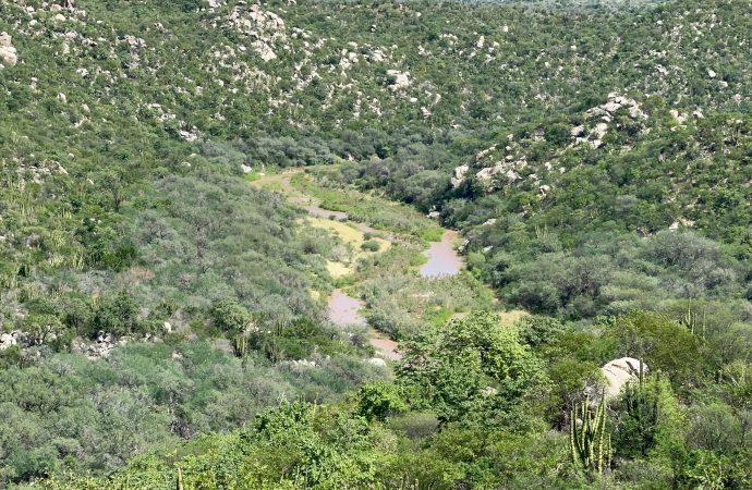 Almacenamiento de presas en Sonora aumenta 10% en dos meses por lluvias de verano