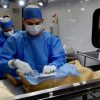 Realizarán esterilizaciones gratuitas para mascotas; personal del Ayuntamiento de Hermosillo