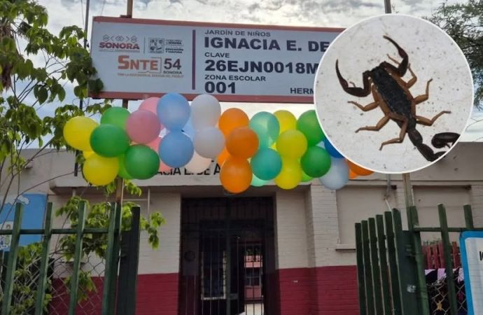 FGR atrae investigación de fallecimiento de niña por alcrán en kinder de Hermosillo