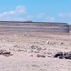 Alerta crisis del campo; es un tema de seguridad nacional: productores