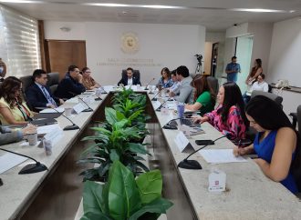 Realizan foro sobre propuesta para facilitar la adopción en Sonora