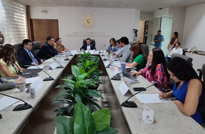 Realizan foro sobre propuesta para facilitar la adopción en Sonora