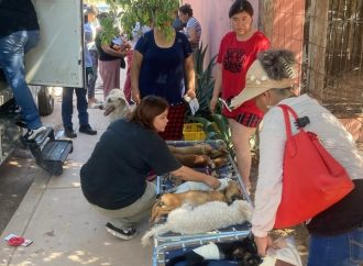 Llama Salud Municipal a seguir con acciones de higiene para prevenir ricketssia