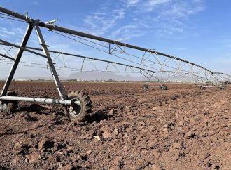 Sin agua, sin precio y sin apoyos el campo: Guillén Partida