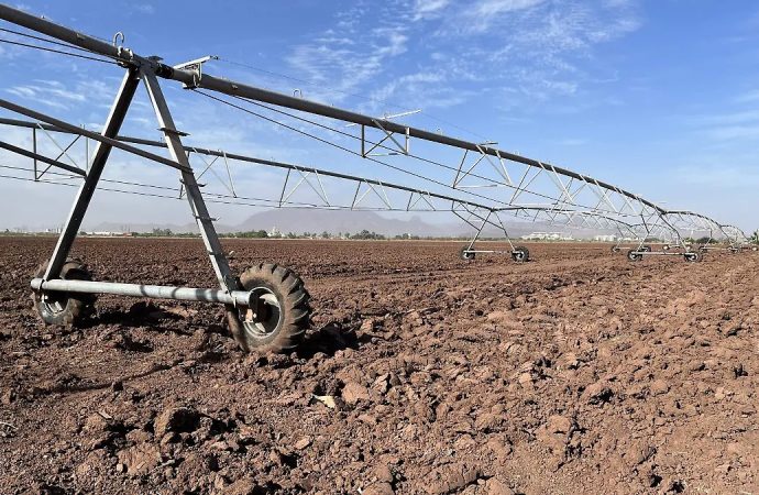 Sin agua, sin precio y sin apoyos el campo: Guillén Partida