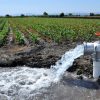 Solicitarán reducción del 50% en el costo de agua