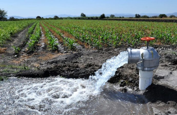 Solicitarán reducción del 50% en el costo de agua