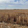 Las voces femeninas en torno a la situación del campo