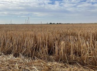 Las voces femeninas en torno a la situación del campo