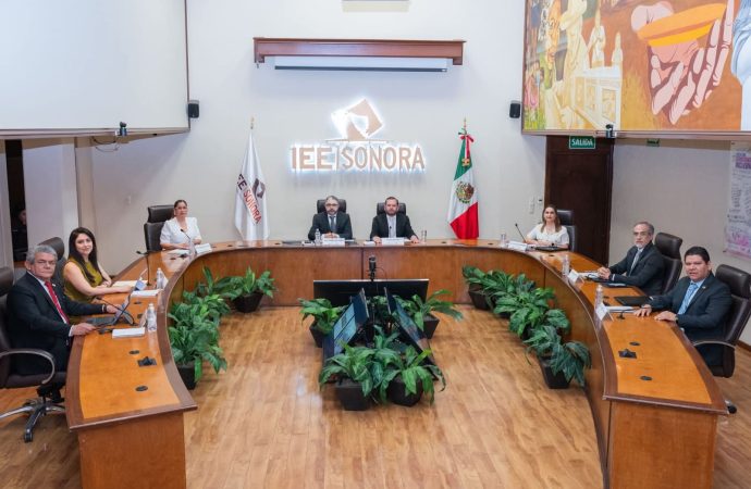 Aprueban planes anuales de trabajo de las comisiones del IEE