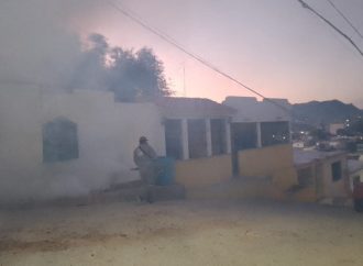 Sonora supera los 900 casos de dengue en lo que va del 2025