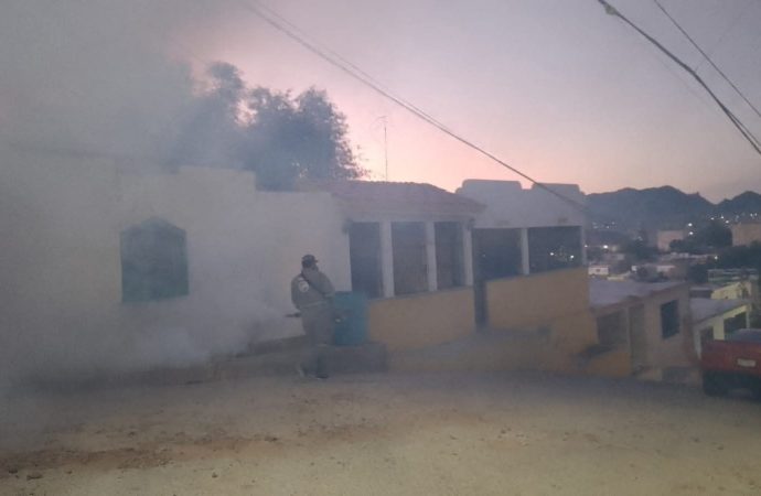 Sonora supera los 900 casos de dengue en lo que va del 2025