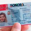 Proponen la expedición de licencias para conducir digitales