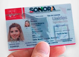 Proponen la expedición de licencias para conducir digitales