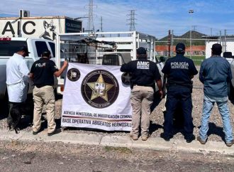 Agresor de perros en Hermosillo podría pasar dos años en prisión