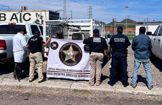 Agresor de perros en Hermosillo podría pasar dos años en prisión