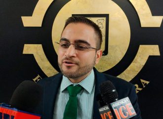 Proponen que juez dicte custodia de animales de compañía en casos de divorcio