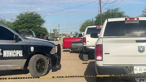 Aseguran disminución de delitos en SLRC