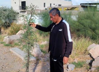 Gregorio Félix transforma milla del bulevar Progreso al plantar más de 30 árboles, pide apoyo ciudadanos para embellecer espacio en Hermosillo