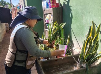 Salud Sonora fumiga más de 154 mil hectáreas contra el dengue en 283 localidades