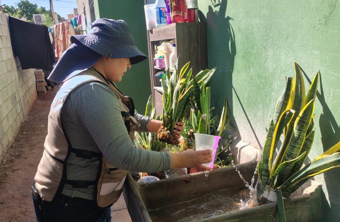 Salud Sonora fumiga más de 154 mil hectáreas contra el dengue en 283 localidades
