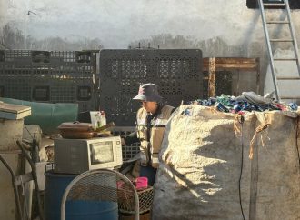 Intensifican acciones contra el dengue en Cajeme: arranca campaña casa por casa para eliminar criaderos