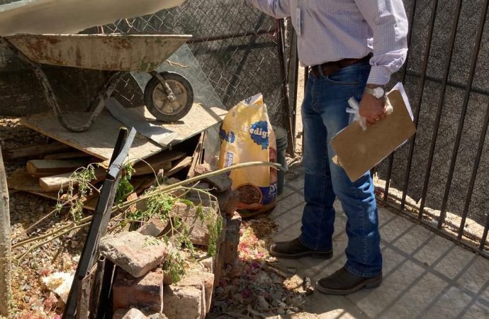 Exhortan a mantener hogares limpios para prevenir el dengue