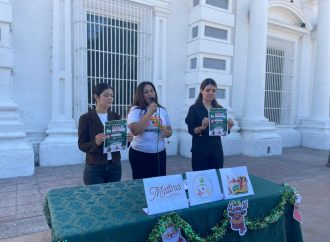Invitan al festival Sinsei 2 en navidad a favor de estancias infantiles