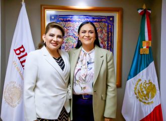 Programas sociales, motor del bienestar: Lorenia Valles