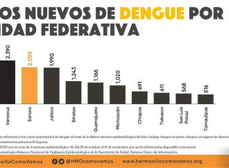 Implementan acciones contra el dengue en Sonora ante alta incidencia