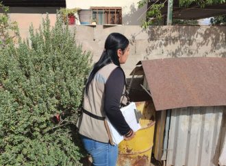 Llevan acciones para abatir el mosquito transmisor del dengue en Hermosillo