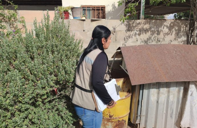 Llevan acciones para abatir el mosquito transmisor del dengue en Hermosillo
