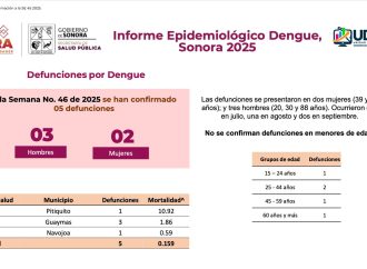 Registran cinco muertes por dengue en Sonora