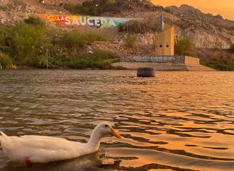 Polígono Suroeste del Bosque Urbano La Sacueda albergará 1,517 árboles nativos: Jesús Madrid del Río