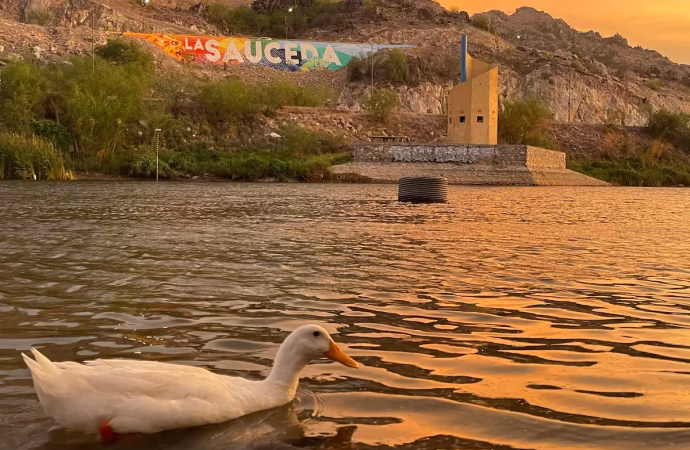 Polígono Suroeste del Bosque Urbano La Sacueda albergará 1,517 árboles nativos: Jesús Madrid del Río