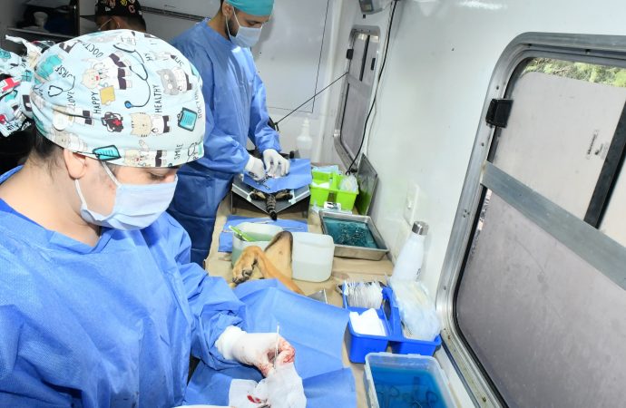 Reconocen a rescatistas por apoyo en esterilización animal