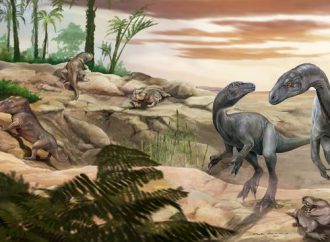 Hallan en Argentina un dinosaurio casi completo que ayuda a entender la evolución de los gigantes de cuello largo
