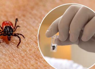 Niño pierde la vida en ambulancia del IMSS-Bienestar; sospechan rickettsia como causa