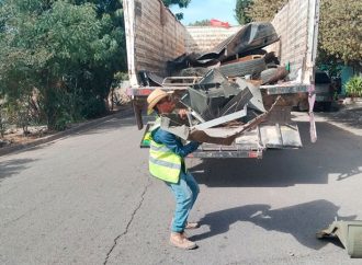 Suma Cajeme 503 casos de dengue en 2025