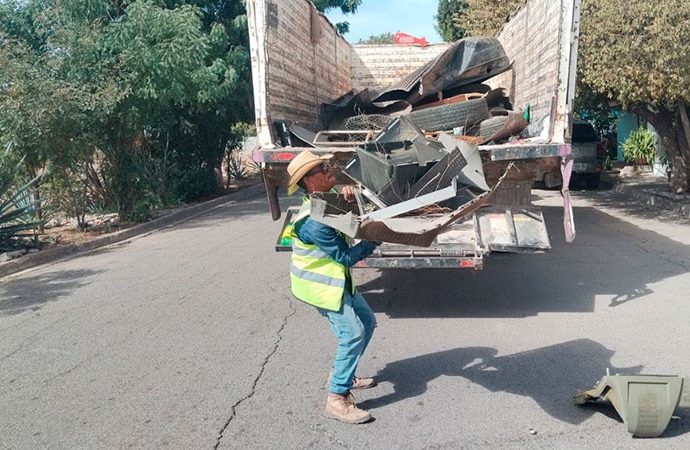 Suma Cajeme 503 casos de dengue en 2025