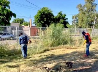 Educación Municipal atiende y canaliza soluciones en planteles