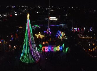 Brilla Cajeme con el encendido del árbol navideño
