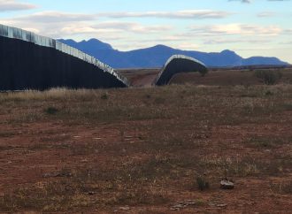 En riesgo de extinción en especies de coexisten en límites de muro fronterizo