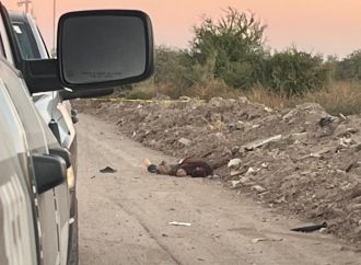 Reportan Madres Buscadoras cuatro hallazgos en las últimas 72 horas en Hermosillo