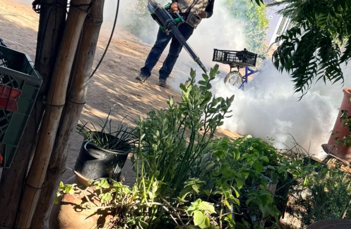 El dengue también puede afectar en invierno por la resistencia del mosco