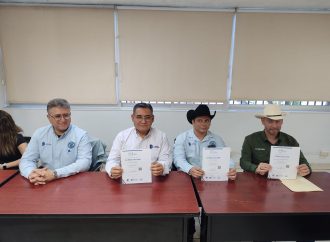 Certifican programas académicos de ITH